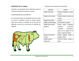 DESPOSTE DE LA CANAL
Consiste en la separación de los diferentes cortes de
carne que componen la canal de un animal.
CLASIFICACIÓN DE LOS CORTES
En el mercado existen una diversidad de cortes o tipos
de carnes a considerar cuando se desea preparar
algún tipo de plato en especial, es por ello que los
diferentes cortes de la canal bovina se efectúa por
regiones:
Ubicación de los cortes de la canal bovina
REGION CORTE
Región del cuello Falda de Retablon y cogote
o nuca
Región dorso lumbar Solomo abierto y solomo de
cuerito
Región sub lumbar Lomito
Región sacrococcigea Punta trasero y ganso
Región del miembro
posterior
Pulpa negra, muchacho
redondo, muchacho
cuadrado, chocozuela,
pollo de res, lagarto de la
reina y lagarto posterior
Región del miembro
anterior
Paleta, papelón, codillo y
lagarto anterior
Región esterno
abdominal
Punta de pecho, costilla y
falda
Elaboración de Charcutería 5
 