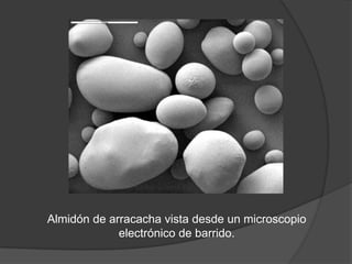 ALMIDONES | PPTX