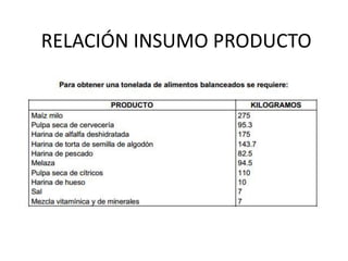 RELACIÓN INSUMO PRODUCTO

 