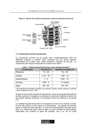 UNIVERSIDAD NACIONAL DE COLOMBIA, Sede Palmira




    Figura 4. Sección de la célula muscular que muestra las diversas estructuras




                                   Fuente: FAO, 1998


1.2 Composición química del pescado

La composición química de los peces varía considerablemente entre las
diferentes especies y también entre individuos de una misma especie,
dependiendo de la edad, sexo, medio ambiente y estación del año [8]. La
composición del músculo de pescado se muestra en la Tabla 1.

          Tabla 1. Análisis proximal del pescado y otros animales de abasto*
        Constituyente                Pescado (%)          Animales de abasto (%)
Proteínas                              15 – 24                     16 – 22

Lípidos                               0,10 – 22                  1,50 – 13
Carbohidratos                            1–3                     0,50 – 13
Cenizas                                0,80 – 2                  1 ó menos
Agua                                   66 – 84                     65 – 80
* Se entiende por animales de abasto a los bovinos, equinos, ovinos, porcinos y caprinos.
Fuente: Adaptación Suzuki, 1987

El agua es el principal componente del pescado; actúa como agente disolvente de
solutos orgánicos e inorgánicos y participa en reacciones bioquímicas dentro de
las células; además contribuye a la interacción entre las proteínas y las grasas
[11].

La cantidad de grasa bruta varía en el pescado en función de la especie, la edad,
la zona del cuerpo, el ciclo sexual y la alimentación. Las grasas del pescado
tienen un índice de yodo más alto y un punto de endurecimiento más bajo que el
sebo y la manteca de cerdo; esto se debe a la gran cantidad de ácidos grasos
insaturados que contiene la grasa del pescado, que a su vez se oxida




                                                   11
 