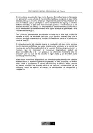 UNIVERSIDAD NACIONAL DE COLOMBIA, Sede Palmira


El momento de aparición del rigor mortis depende de muchos factores: la especie
(en general en peces activos de movimientos rápidos y enérgicos el rigor mortis
aparece antes y se resuelve antes que en peces más sedentarios); el estado del
pez; el modo de captura (si el pez se extrae rápidamente del agua y se sacrifica
de forma inmediata el rigor tarda más tiempo en aparecer y resolverse que en los
animales muertos por asfixia); y la temperatura de almacenamiento (cuanto mayor
sea la temperatura de almacenamiento más rápido aparece el rigor mortis y más
tarda en resolverse) [13].

Esta condición generalmente se mantiene durante uno o más días y luego se
resuelve el rigor. La resolución del rigor mortis (estado estable) hace que el
músculo se relaje nuevamente y recupere la flexibilidad, pero no la elasticidad
previa al rigor [8].

El reblandecimiento del músculo durante la resolución del rigor mortis coincide
con los cambios autolíticos que están directamente asociados a la pérdida de
frescura que sufre el pescado debido a la variedad de enzimas presentes en el
músculo, que se incorporan a reacciones degradativas (estado de
descomposición) [8], [14]. Los procesos de alteración microbiana sólo se
producen una vez que se ha resuelto el rigor mortis y se describen como
procesos proteolíticos [13].

Todas estas reacciones degradativas se evidencian gradualmente con cambios
indeseables en la apariencia general del pescado, el color, el aroma y la textura
de su carne, lo que significa la pérdida de frescura y de calidad. Estos cambios
se pueden controlar con buenas prácticas de captura y conservación de los
pescados, como por ejemplo el manejo de temperaturas de refrigeración y
congelación.




                                               14
 