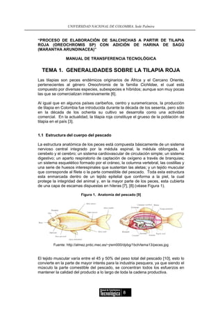 UNIVERSIDAD NACIONAL DE COLOMBIA, Sede Palmira


“PROCESO DE ELABORACIÓN DE SALCHICHAS A PARTIR DE TILAPIA
ROJA (OREOCHROMIS SP) CON ADICIÓN DE HARINA DE SAGÚ
(MARANTHA ARUNDINACEA)”

                MANUAL DE TRANSFERENCIA TECNOLÓGICA


  TEMA 1. GENERALIDADES SOBRE LA TILAPIA ROJA
Las tilapias son peces endémicos originarios de África y el Cercano Oriente,
pertenecientes al género Oreochromis de la familia Cichlidae, el cual está
compuesto por diversas especies, subespecies e híbridos; aunque son muy pocas
las que se comercializan intensivamente [6].

Al igual que en algunos países caribeños, centro y suramericanos, la producción
de tilapia en Colombia fue introducida durante la década de los sesenta, pero sólo
en la década de los ochenta su cultivo se desarrolla como una actividad
comercial. En la actualidad, la tilapia roja constituye el grueso de la población de
tilapia en el país [3].


1.1 Estructura del cuerpo del pescado

La estructura anatómica de los peces está compuesta básicamente de un sistema
nervioso central integrado por la médula espinal, la médula oblongada, el
cerebelo y el cerebro; un sistema cardiovascular de circulación simple; un sistema
digestivo; un aparto respiratorio de captación de oxígeno a través de branquias;
un sistema esquelético formado por el cráneo, la columna vertebral, las costillas y
una serie de huesos interespinales que sustentan las aletas; y un tejido muscular
que corresponde al filete o la parte comestible del pescado. Toda esta estructura
esta enmarcada dentro de un tejido epitelial que conforma a la piel, la cual
protege la integridad del animal y, en la mayor parte de los peces, esta cubierta
de una capa de escamas dispuestas en hileras [7], [8] (véase Figura 1).

                        Figura 1. Anatomía del pescado [9]




        Fuente: http://almez.pntic.mec.es/~jrem000/dpbg/1bch/tema13/peces.jpg


El tejido muscular varía entre el 45 y 50% del peso total del pescado [10], esto lo
convierte en la parte de mayor interés para la industria pesquera, ya que siendo el
músculo la parte comestible del pescado, se concentran todos los esfuerzos en
mantener la calidad del producto a lo largo de toda la cadena productiva.




                                                 8
 