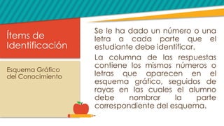 Ítems de
Identificación
Se le ha dado un número o una
letra a cada parte que el
estudiante debe identificar.
La columna de las respuestas
contiene los mismos números o
letras que aparecen en el
esquema gráfico, seguidos de
rayas en las cuales el alumno
debe nombrar la parte
correspondiente del esquema.
Esquema Gráfico
del Conocimiento
 