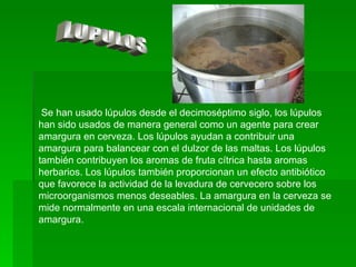 LUPULOS Se han usado lúpulos desde el decimoséptimo siglo, los lúpulos han sido usados de manera general como un agente para crear amargura en cerveza. Los lúpulos ayudan a contribuir una amargura para balancear con el dulzor de las maltas. Los lúpulos también contribuyen los aromas de fruta cítrica hasta aromas herbarios. Los lúpulos también proporcionan un efecto antibiótico que favorece la actividad de la levadura de cervecero sobre los microorganismos menos deseables. La amargura en la cerveza se mide normalmente en una escala internacional de unidades de amargura.  