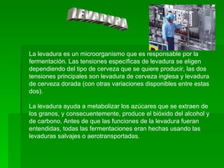 LEVADURA La levadura es un microorganismo que es responsable por la fermentación. Las tensiones específicas de levadura se eligen dependiendo del tipo de cerveza que se quiere producir, las dos tensiones principales son levadura de cerveza inglesa y levadura de cerveza dorada (con otras variaciones disponibles entre estas dos). La levadura ayuda a metabolizar los azúcares que se extraen de los granos, y consecuentemente, produce el bióxido del alcohol y de carbono. Antes de que las funciones de la levadura fueran entendidas, todas las fermentaciones eran hechas usando las levaduras salvajes o aerotransportadas. 