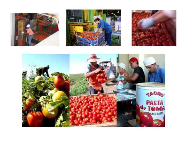 Elaboracion de la salsa de tomate