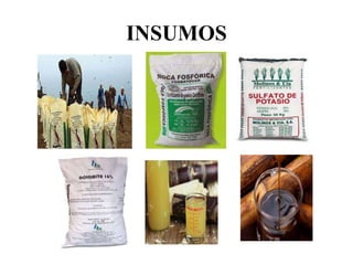 INSUMOS
 