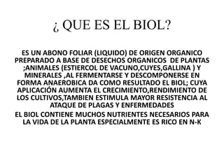 ¿ QUE ES EL BIOL?
ES UN ABONO FOLIAR (LIQUIDO) DE ORIGEN ORGANICO
PREPARADO A BASE DE DESECHOS ORGANICOS DE PLANTAS
;ANIMALES (ESTIERCOL DE VACUNO,CUYES,GALLINA ) Y
MINERALES ,AL FERMENTARSE Y DESCOMPONERSE EN
FORMA ANAEROBICA DA COMO RESULTADO EL BIOL; CUYA
APLICACIÓN AUMENTA EL CRECIMIENTO,RENDIMIENTO DE
LOS CULTIVOS,TAMBIEN ESTIMULA MAYOR RESISTENCIA AL
ATAQUE DE PLAGAS Y ENFERMEDADES
EL BIOL CONTIENE MUCHOS NUTRIENTES NECESARIOS PARA
LA VIDA DE LA PLANTA ESPECIALMENTE ES RICO EN N-K
 