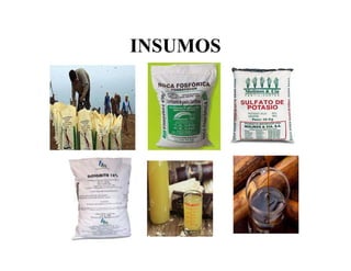 INSUMOS
 