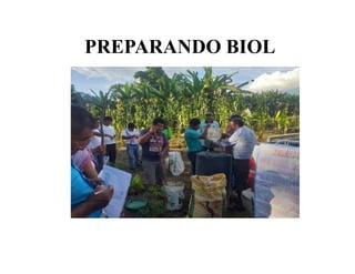 PREPARANDO BIOL
 