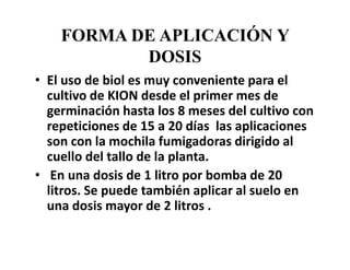 FORMA DE APLICACIÓN Y
DOSIS
• El uso de biol es muy conveniente para el
cultivo de KION desde el primer mes de
germinación hasta los 8 meses del cultivo con
repeticiones de 15 a 20 días las aplicaciones
son con la mochila fumigadoras dirigido al
cuello del tallo de la planta.
• En una dosis de 1 litro por bomba de 20
litros. Se puede también aplicar al suelo en
una dosis mayor de 2 litros .
 