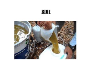 BIOL
 