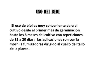 USO DEL BIOL
El uso de biol es muy conveniente para el
cultivo desde el primer mes de germinación
hasta los 8 meses del cultivo con repeticiones
de 15 a 20 días ; las aplicaciones son con la
mochila fumigadoras dirigido al cuello del tallo
de la planta.
 