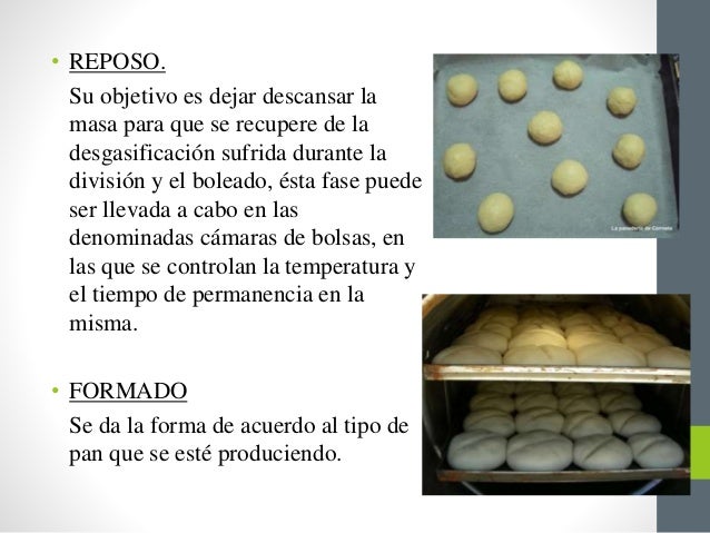 Elaboracion del pan[1]
