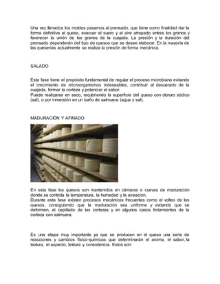 Una vez llenados los moldes pasamos al prensado, que tiene como finalidad dar la
forma definitiva al queso, evacuar el suero y el aire atrapado entres los granos y
favorecer la unión de los granos de la cuajada. La presión y la duración del
prensado dependerán del tipo de quesos que se desee elaborar. En la mayoría de
las queserías actualmente se realiza la presión de forma mecánica.
SALADO
Esta fase tiene el propósito fundamental de regular el proceso microbiano evitando
el crecimiento de microorganismos indeseables, contribuir al desuerado de la
cuajada, formar la corteza y potenciar el sabor.
Puede realizarse en seco, recubriendo la superficie del queso con cloruro sódico
(sal), o por inmersión en un baño de salmuera (agua y sal).
MADURACIÓN Y AFINADO
En esta fase los quesos son mantenidos en cámaras o cuevas de maduración
donde se controla la temperatura, la humedad y la aireación.
Durante esta fase existen procesos mecánicos frecuentes como el volteo de los
quesos, consiguiendo que la maduración sea uniforme y evitando que se
deformen, el cepillado de las cortezas y en algunos casos frotamientos de la
corteza con salmuera.
Es una etapa muy importante ya que se producen en el queso una serie de
reacciones y cambios físico-químicos que determinarán el aroma, el sabor, la
textura, el aspecto, textura y consistencia. Estos son:
 