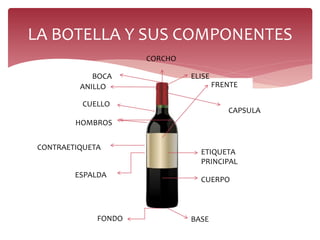 LA BOTELLA Y SUS COMPONENTES
BASEFONDO
CUERPO
ETIQUETA
PRINCIPAL
FRENTE
ESPALDA
CONTRAETIQUETA
HOMBROS
CUELLO
ANILLO
ELISEBOCA
CAPSULA
CORCHO
 
