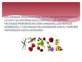 LOS AROMAS PRIMARIOS SON AQUELLOS QUE PROVIENEN DE
LA UVA Y SU ENTORNO ECO CLIMÁTICO. LOS AROMAS
FRUTADOS PRIMARIOS DE CADA VARIEDAD, LOS MATICES
HERBÁCEOS, Y LOS RASGOS RELACIONADOS CON EL TERRUÑO
PERTENECEN A ESTA CATEGORÍA.
 