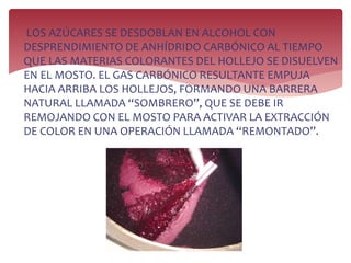  LOS AZÚCARES SE DESDOBLAN EN ALCOHOL CON
DESPRENDIMIENTO DE ANHÍDRIDO CARBÓNICO AL TIEMPO
QUE LAS MATERIAS COLORANTES DEL HOLLEJO SE DISUELVEN
EN EL MOSTO. EL GAS CARBÓNICO RESULTANTE EMPUJA
HACIA ARRIBA LOS HOLLEJOS, FORMANDO UNA BARRERA
NATURAL LLAMADA “SOMBRERO”, QUE SE DEBE IR
REMOJANDO CON EL MOSTO PARA ACTIVAR LA EXTRACCIÓN
DE COLOR EN UNA OPERACIÓN LLAMADA “REMONTADO”.
 