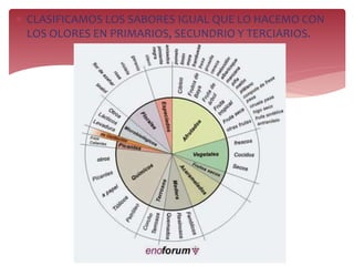  CLASIFICAMOS LOS SABORES IGUAL QUE LO HACEMO CON
LOS OLORES EN PRIMARIOS, SECUNDRIO Y TERCIARIOS.
 