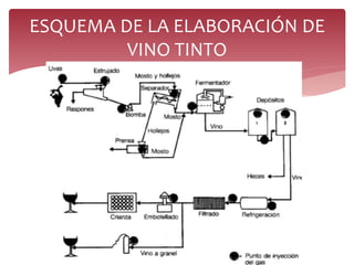 ESQUEMA DE LA ELABORACIÓN DE
VINO TINTO
 