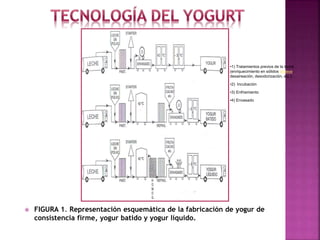  FIGURA 1. Representación esquemática de la fabricación de yogur de
consistencia firme, yogur batido y yogur líquido.
•1) Tratamientos previos de la leche
(enriquecimiento en sólidos lácteos,
desaireación, desodorización, etc.)
•2) Incubación
•3) Enfriamiento
•4) Envasado
 