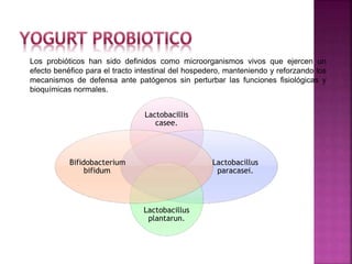 Lactobacillis
casee.
Lactobacillus
paracasei.
Lactobacillus
plantarun.
Bifidobacterium
bifidum.
Los probióticos han sido definidos como microorganismos vivos que ejercen un
efecto benéfico para el tracto intestinal del hospedero, manteniendo y reforzando los
mecanismos de defensa ante patógenos sin perturbar las funciones fisiológicas y
bioquímicas normales.
 