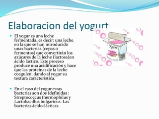 Elaboracion del yogurt 
 El yogur es una leche 
fermentada, es decir: una leche 
en la que se han introducido 
unas bacterias (cepas o 
fermentos) que convertirán los 
azúcares de la leche (lactosa)en 
ácido láctico. Este proceso 
produce una acidificación y hace 
que las proteínas de la leche 
coagulen, dando al yogur su 
textura característica. 
 En el caso del yogur estas 
bacterias son dos (definidas : 
Streptococcus thermophilus y 
Lactobacillus bulgaricus. Las 
bacterias ácido-lácticas 
 