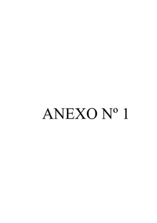 ANEXO Nº 1 
 