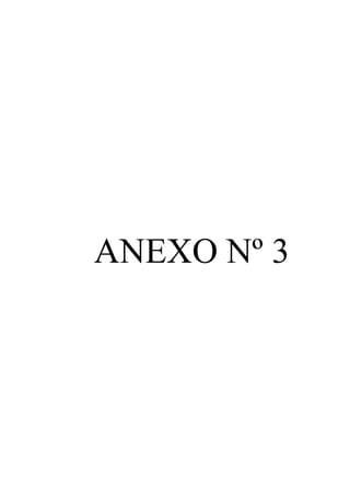ANEXO Nº 3 
 