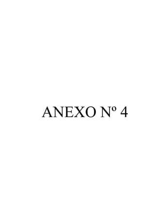 ANEXO Nº 4 
 