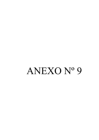 ANEXO Nº 9 
 