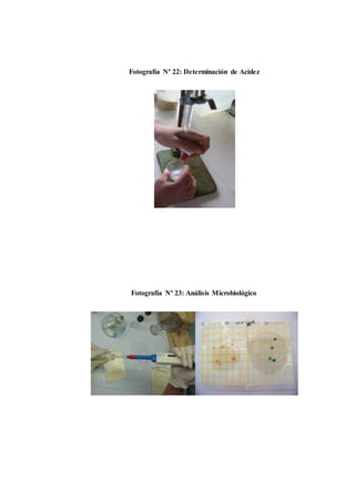 Fotografía Nº 22: Determinación de Acidez 
Fotografía Nº 23: Análisis Microbiológico 
 