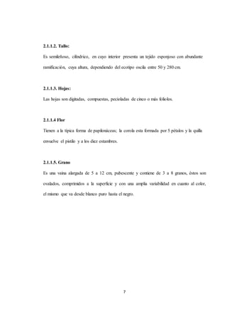 7 
2.1.1.2. Tallo: 
Es semileñoso, cilíndrico, en cuyo interior presenta un tejido esponjoso con abundante 
ramificación, cuya altura, dependiendo del ecotipo oscila entre 50 y 280 cm. 
2.1.1.3. Hojas: 
Las hojas son digitadas, compuestas, pecioladas de cinco o más foliolos. 
2.1.1.4 Flor 
Tienen a la típica forma de papilonáceas; la corola esta formada por 5 pétalos y la quilla 
envuelve el pistilo y a los diez estambres. 
2.1.1.5. Grano 
Es una vaina alargada de 5 a 12 cm, pubescente y contiene de 3 a 8 granos, éstos son 
ovalados, comprimidos a la superficie y con una amplia variabilidad en cuanto al color, 
el mismo que va desde blanco puro hasta el negro. 
 