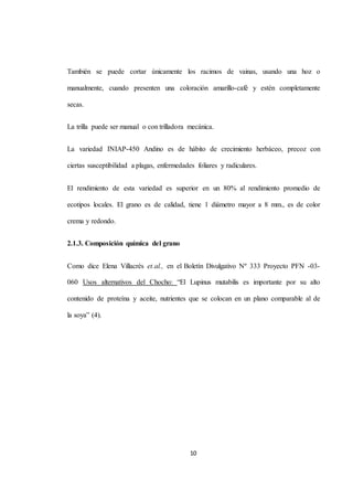 También se puede cortar únicamente los racimos de vainas, usando una hoz o 
manualmente, cuando presenten una coloración amarillo-café y estén completamente 
10 
secas. 
La trilla puede ser manual o con trilladora mecánica. 
La variedad INIAP-450 Andino es de hábito de crecimiento herbáceo, precoz con 
ciertas susceptibilidad a plagas, enfermedades foliares y radiculares. 
El rendimiento de esta variedad es superior en un 80% al rendimiento promedio de 
ecotipos locales. El grano es de calidad, tiene 1 diámetro mayor a 8 mm., es de color 
crema y redondo. 
2.1.3. Composición química del grano 
Como dice Elena Villacrés et.al., en el Boletín Divulgativo Nº 333 Proyecto PFN -03- 
060 Usos alternativos del Chocho: “El Lupinus mutabilis es importante por su alto 
contenido de proteína y aceite, nutrientes que se colocan en un plano comparable al de 
la soya” (4). 
 