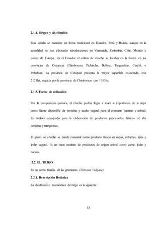 13 
2.1.4. Origen y distribución 
Esta semilla se mantiene en forma tradicional en Ecuador, Perú y Bolivia, aunque en la 
actualidad se han efectuado introducciones en Venezuela, Colombia, Chile, México y 
países de Europa. En el Ecuador el cultivo de chocho se localiza en la Sierra, en las 
provincias de Cotopaxi, Chimborazo, Pichincha, Bolívar, Tungurahua, Carchi, e 
Imbabura. La provincia de Cotopaxi presenta la mayor superficie cosechada, con 
2121ha, seguida por la provincia de Chimborazo con 1013ha. 
2.1.5. Forma de utilización 
Por la composición química, el chocho podría llegar a tener la importancia de la soya 
como fuente disponible de proteína y aceite vegetal para el consumo humano y animal. 
Es también apropiado para la elaboración de productos procesados, harinas de alta 
proteína y margarinas. 
El grano de chocho se puede consumir como producto fresco en sopas, cebiches, ajíes y 
leche vegetal. Es un buen sustituto de productos de origen animal como carne, leche y 
huevos. 
2.2. EL TRIGO 
Es un cereal familia de las gramíneas (Triticum Vulgare). 
2.2.1. Descripción Botánica 
La clasificación taxonómica del trigo es la siguiente: 
 