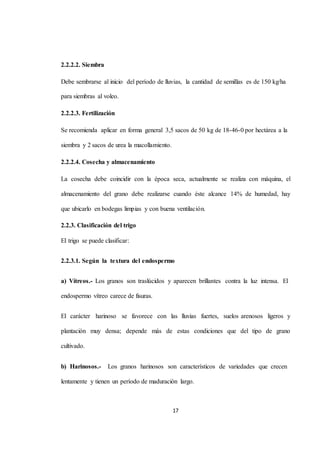 17 
2.2.2.2. Siembra 
Debe sembrarse al inicio del período de lluvias, la cantidad de semillas es de 150 kg/ha 
para siembras al voleo. 
2.2.2.3. Fertilización 
Se recomienda aplicar en forma general 3,5 sacos de 50 kg de 18-46-0 por hectárea a la 
siembra y 2 sacos de urea la macollamiento. 
2.2.2.4. Cosecha y almacenamiento 
La cosecha debe coincidir con la época seca, actualmente se realiza con máquina, el 
almacenamiento del grano debe realizarse cuando éste alcance 14% de humedad, hay 
que ubicarlo en bodegas limpias y con buena ventilación. 
2.2.3. Clasificación del trigo 
El trigo se puede clasificar: 
2.2.3.1. Según la textura del endospermo 
a) Vítreos.- Los granos son traslúcidos y aparecen brillantes contra la luz intensa. El 
endospermo vítreo carece de fisuras. 
El carácter harinoso se favorece con las lluvias fuertes, suelos arenosos ligeros y 
plantación muy densa; depende más de estas condiciones que del tipo de grano 
cultivado. 
b) Harinosos.- Los granos harinosos son característicos de variedades que crecen 
lentamente y tienen un período de maduración largo. 
 