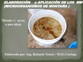 ELABORACIÓN y APLICACIÓN DE LOS MM
(MICROORGANISMOS DE MONTAÑA )
Elaborado por: Ing. Rolando Tencio / MAG Cartago
Método 1: arroz
o pan añejo
 