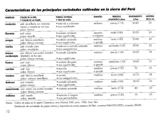 Elaboracion de papa seca