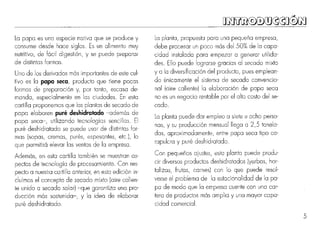 Elaboracion de papa seca