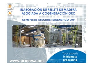 ELABORACIÓN DE PELLETS DE MADERA
 ASOCIADA A COGENERACIÓN ORC
 Conferencia ATEGRUS: BIOENERGÍA 2011




                            Your experts
                             in biomass
                             processing
 