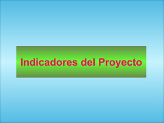 117
Indicadores del Proyecto
 