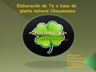 Elaboración de Te a base de  planta natural Chayamanza Integrantes: Gutiérrez Dayana García Junimar Pérez Yinexa Revilla Abdimar 