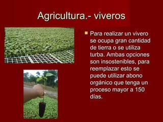  Para realizar un viveroPara realizar un vivero
se ocupa gran cantidadse ocupa gran cantidad
de tierra o se utilizade tierra o se utiliza
turba. Ambas opcionesturba. Ambas opciones
son insostenibles, parason insostenibles, para
reemplazar esto sereemplazar esto se
puede utilizar abonopuede utilizar abono
orgánico que tenga unorgánico que tenga un
proceso mayor a 150proceso mayor a 150
días.días.
Agricultura.- viverosAgricultura.- viveros
 