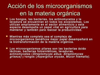  Los hongos, las bacterias, los actinomycetos y laLos hongos, las bacterias, los actinomycetos y la
levadura se encuentran en todos los ecosistemas. Loslevadura se encuentran en todos los ecosistemas. Los
utilizan ampliamente en el sector alimenticio y estautilizan ampliamente en el sector alimenticio y esta
especie desempeña un papel vital en agricultura paraespecie desempeña un papel vital en agricultura para
mantener y también para realzar la productividad.mantener y también para realzar la productividad.
 Mientras más completo sea el complejo deMientras más completo sea el complejo de
microorganismos benéficos mejor papel desempeñará enmicroorganismos benéficos mejor papel desempeñará en
la biotransformación de la materia orgánica.la biotransformación de la materia orgánica.
 Los microorganismos pilares son las bacterias ácidoLos microorganismos pilares son las bacterias ácido
lácticas, bacterias fotosintéticas, levaduras,lácticas, bacterias fotosintéticas, levaduras,
actinomycetes (actinomycetes ( Streptomyces albus, StreptomycesStreptomyces albus, Streptomyces
griseus)griseus) y hongos (ongos (Aspergillus oryzae, Mucor hiemalis)Aspergillus oryzae, Mucor hiemalis) ..
Acción de los microorganismosAcción de los microorganismos
en la materia orgánicaen la materia orgánica
 
