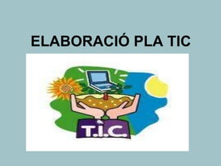 ELABORACIÓ PLA TIC
 