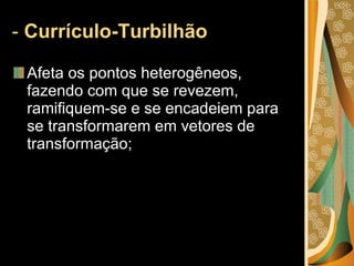 -  Currículo-Turbilhão Afeta os pontos heterogêneos, fazendo com que se revezem, ramifiquem-se e se encadeiem para se transformarem em vetores de transformação;  