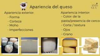 Apariencia del queso
Apariencia exterior:
- Forma
- Corteza
- Imperfecciones
- Moho
Apariencia interior:
- Color: de la
pa...