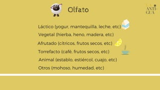 Olfato
Láctico (yogur, mantequilla, leche, etc) 
Vegetal (hierba, heno, madera, etc)
Afrutado (cítricos, frutos secos, etc...