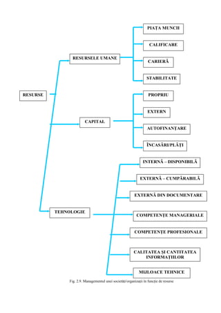 Fig. 2.9. Managementul unei societăţi/organizaţii în funcţie de resurse
RESURSE
RESURSELE UMANE
CAPITAL
TEHNOLOGIE
PIAŢA MUNCII
CALIFICARE
CARIERÃ
STABILITATE
PROPRIU
EXTERN
AUTOFINANŢARE
ÎNCASÃRI/PLÃŢI
INTERNÃ – DISPONIBILÃ
EXTERNÃ – CUMPÃRABILÃ
EXTERNÃ DIN DOCUMENTARE
COMPETENŢE MANAGERIALE
COMPETENŢE PROFESIONALE
CALITATEA ŞI CANTITATEA
INFORMAŢIILOR
MIJLOACE TEHNICE
 