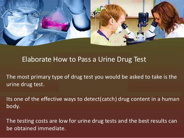 Elaborate How to Pass a Urine Drug Test